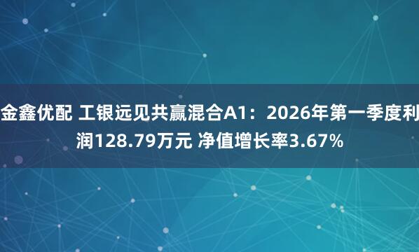 金鑫优配 工银远见共赢混合A1：2026年第一季度利润128.79万元 净值增长率3.67%